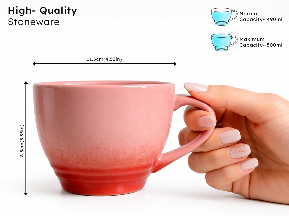 Vira Gulabi Mug